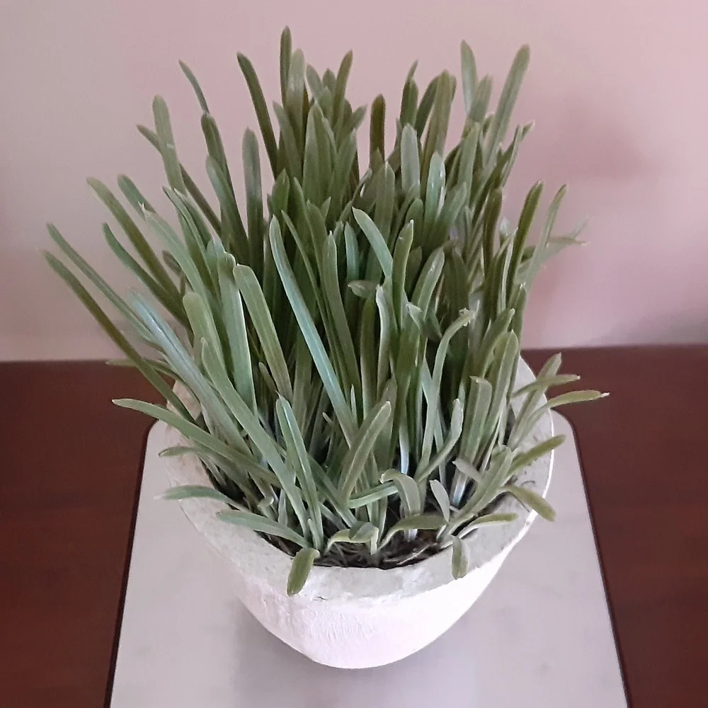 Potted Faux Grass Decor
